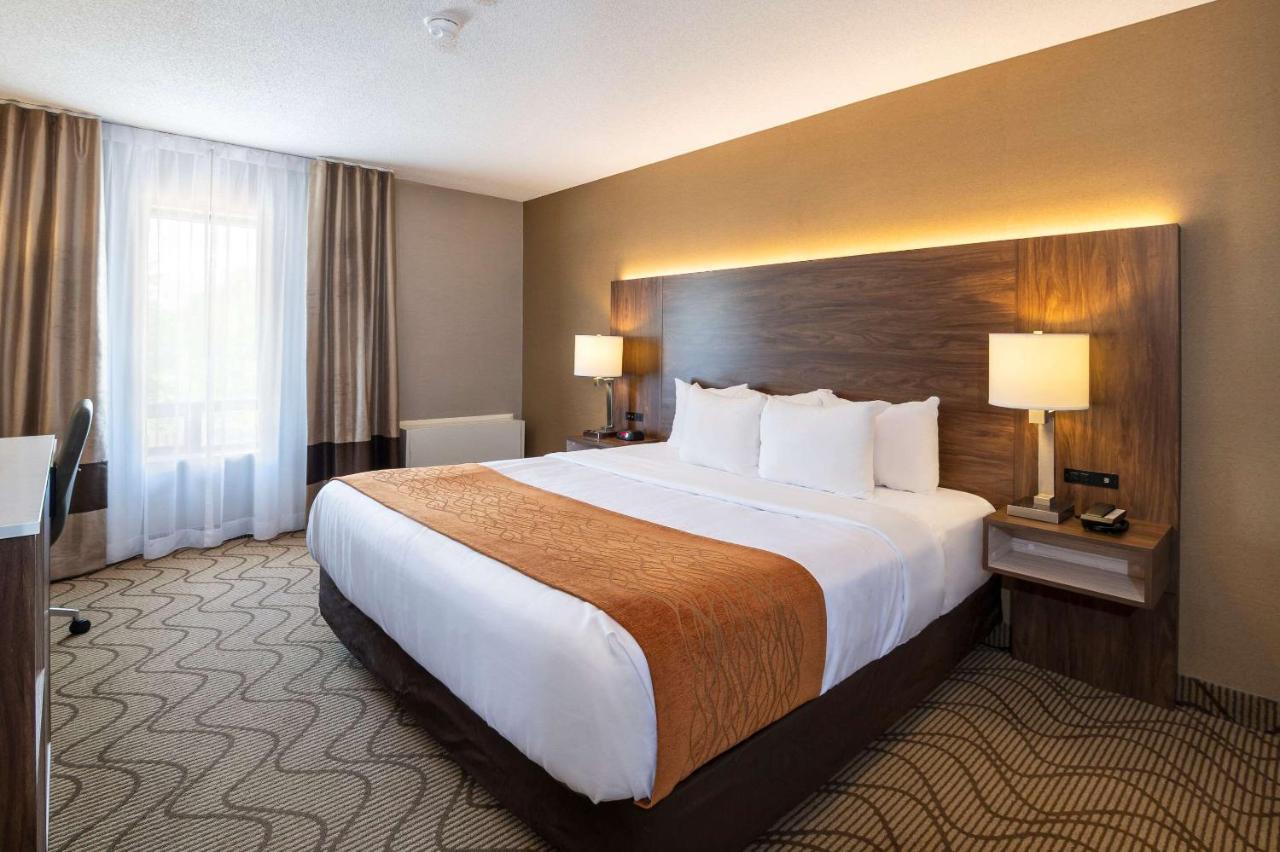 Comfort Inn Lakeshore North Bay Buitenkant foto