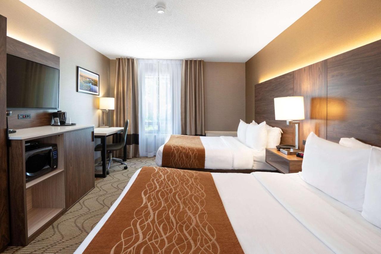 Comfort Inn Lakeshore North Bay Buitenkant foto