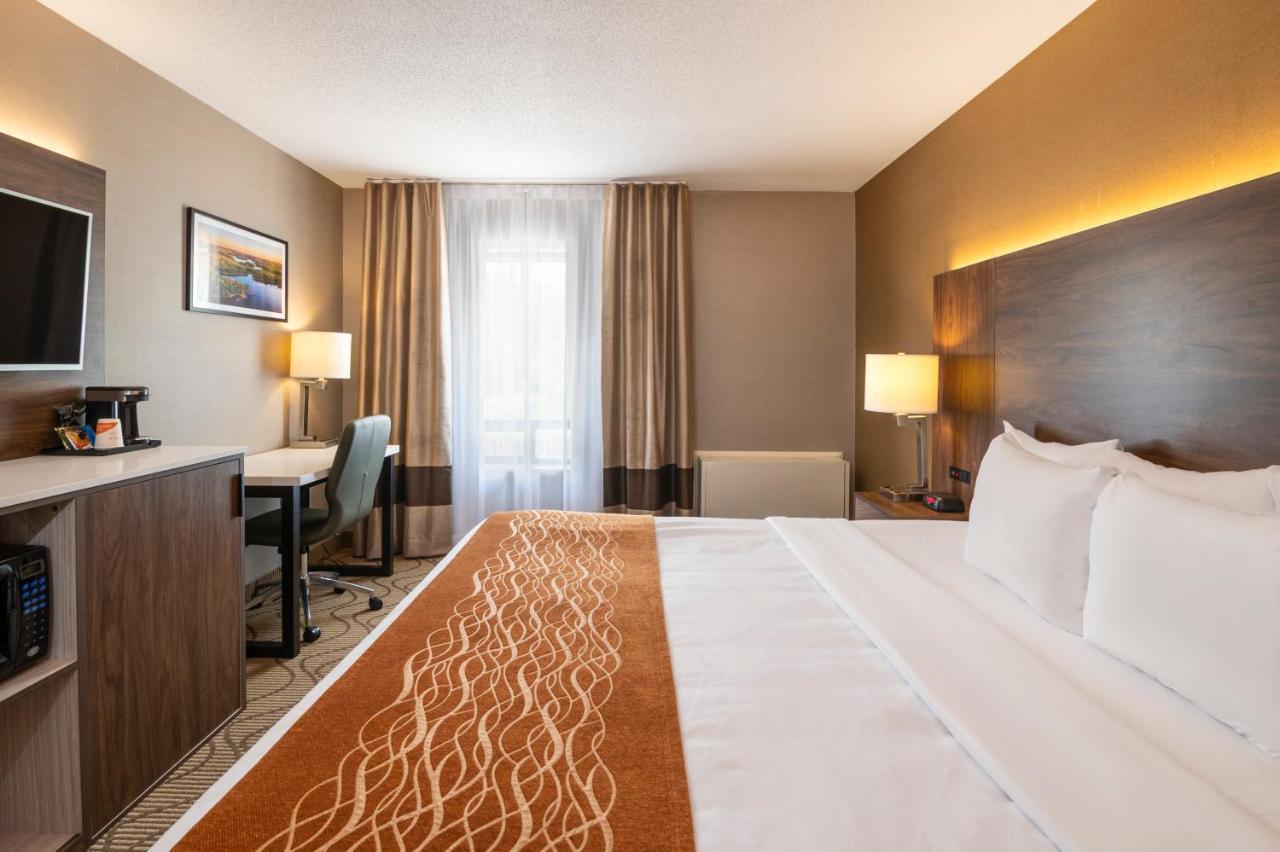 Comfort Inn Lakeshore North Bay Buitenkant foto